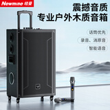 纽曼（Newmine）N538 15寸广场舞蓝牙音箱大功率户外移动便携式拉杆家用K歌大音量无线音响超长续航双麦 25喇叭