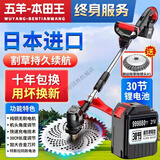 五羊本田本田王大功率电动除草机锂电割草机家用小型多功能草坪开荒打草机 30节电芯【二电一充】 纯铜电机