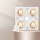 飞雕（FEIDIAO）灯暖浴霸取暖LED照明换气浴室取暖器灯暖一体卫生间适用普通吊顶