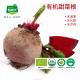 有机汇 有机甜菜根 红菜头 新鲜榨汁蔬菜 中国有机认证 农场现采 750g