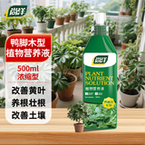 尚洋鸭脚木植物营养液500mL园艺盆栽养花肥料通用鹅掌柴招财树摇钱树