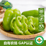 小汤山 青圆椒 300g 基地直供新鲜蔬菜GAP认证