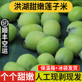 良知农哥【顺丰】现摘莲蓬 莲子莲蓬生吃嫩莲子鲜甜新鲜水果 洪湖甜嫩莲子米3斤  顺丰空运