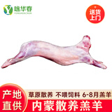 咏华春【官方严选】全羊内蒙古草原散养羔羊肉羊腿整羊后腿肉烤全羊团购 全羊30斤（送礼优选）
