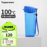 特百惠（Tupperware）茶韵500ML塑料杯 男女学生便携办公用水杯子大容量双饮口 纯净蓝