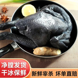 果亦橙乌鸡新鲜现杀农家散养生鲜走地乌骨鸡整只孕妇煲汤月子鸡约2斤