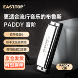 东方鼎（EAST TOP）布鲁斯口琴10孔嵌入式银色盖板灰色塑盒T009 PADDY C调 初学推荐