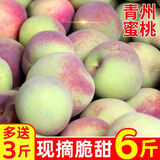 格沃斯【顺丰快递】正宗山东青州蜜桃青皮桃子冬雪蜜桃桃子脆桃应季水果 特级果带箱6斤装【买3斤送3斤】