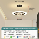 科锐亮奶油风过道走廊小吊灯餐厅餐桌卧室床头客厅灯具现代简约阳台玄关 黑色-直径25厘米三色调光-22瓦