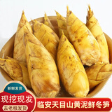 京地达正宗临安天目山现挖新鲜冬笋5斤装单果2-4两起笋子竹笋源头直发