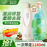 绿色溪谷洗沐套装牛油果去屑洗发水480ml+茶树沐浴露700g