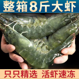 青岛大虾整箱海鲜鲜活速冻超特大冷冻基围虾鲜虾海虾对虾青虾 20厘米左右约48只/盒 3斤(净重)  整箱8斤【净重6斤左右】