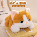 威尔通（WELTSTON）毛绒玩具玩偶抱枕布偶布娃娃生日圣诞节礼物女生 仿真橘猫咪公仔