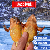林蛙活体林蛙东北雪蛤长白山大母豹子活蛙母蛙满油籽蛤蟆鲜活 母蛙23-25只/斤（送半斤公蛙）