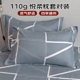 艾薇 枕头套磨毛枕套一对儿童枕套卡通学生单人枕套 格调时代 48*74cm