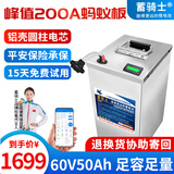 蓄骑士电动车锂电池60v三轮车电池电瓶车三元锂磷酸铁锂电动摩托车专用 铁锂60v50ah【蚂蚁板250a】配充