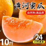 卉双正宗陕西黄河蜜瓜红金宝当季新鲜沙漠甜瓜黄金香瓜脆甜可口 黄河蜜瓜 精选带箱8.5-10斤（净重8斤）
