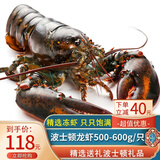 尝鲜生 超大波龙虾鲜活冻澳龙加拿大波士顿龙虾1-7斤年货海鲜礼盒大礼包 波龙 500g(净重)  -600g/只