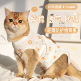 华元宠具（hoopet）猫咪绝育服宠物小狗狗母猫猫手术服透气戒奶服公猫防舔术后用衣服