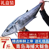 朵芙【海鲜礼盒】青岛大鲅鱼 净重燕鲅鱼礼品鲅鱼 海鱼马鲛鱼年货礼盒 礼盒-7斤青岛大鲅鱼
