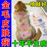 狗狗皮肤病专用狗癣真菌感染金毛拉布拉多法斗皮瘙痒掉毛外用喷剂 单瓶装【小面积皮肤病当晚好】