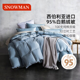 斯诺曼100支贡缎进口95%白鹅绒羽绒被芯 子母被子1.5*2.1m充250g+500g蓝