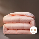 富安娜家纺 七孔抗菌纤维被 学生宿舍冬天被子被芯  粉色 抑菌七孔冬厚被【 约4-7斤 】 1.5米床(被芯203*229cm)