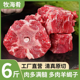 牧海肴原切羊小腿净重2斤内蒙羊腱子羔羊肉切块手把肉炖肉食材清真羊肉 特价秒杀丨多肉羊蝎子净重6斤