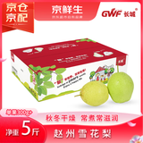 京鲜生 河北雪花梨 净重5斤 单果300g+ 生鲜水果礼盒