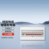 国际电工家用配电箱室内照明强电箱明装暗装电布线箱空开箱断路器箱子 铁底塑面14-18回路【明装】