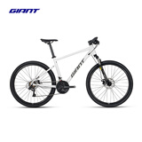 捷安特（GIANT）ATX 620铝合金21速机械碟刹成人变速山地自行车 白月光 26×17.5 M建议165-180cm
