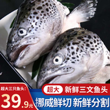 朵芙挪威三文鱼排 鱼脖 3斤  鱼腩条三文鱼头 碎肉边角料新鲜三文鱼扒 三文鱼头 500g *3只