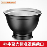 神牛（Godox） SL150III三代摄影灯主播直播间摄影棚拍照视频摄像灯LED补光灯 保荣卡口标准罩 SL150III双色温