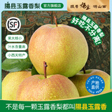 隰县玉露香梨 【顺丰现货】整箱香梨当季水果山西隰县小西天特产 孕妇水果送礼 9粒中果（净重约4.5斤）75+mm