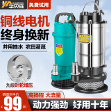 法耐（FANAI）潜水泵家用泵农用220v高扬程清水井用抽水机不锈钢农用灌溉抽水机 新款370W1寸清水泵3米线10米管