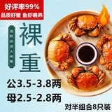 【活蟹】湖鲜阳澄大闸蟹公3.5-3.8两 母2.5-2.8两4对8只鲜活超大螃蟹礼盒装源头直发