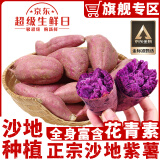 骑猴赶马沙地紫番薯【软糯香甜】现挖番薯紫地瓜新鲜红薯蔬菜代餐粗粮番薯 净重4.5斤 精选