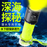 哈拿（TRE-Hana）潜水手电筒强光可充电水下防水照明超长续航夜潜专业探照灯 【黄光】HN-QS30H潜水手电筒