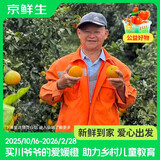 京鲜生爱媛38号果冻橙 净重4.5-5斤 单果120g＋