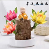 幕篱【新品巴西木】巴西木带芽格鲁加树人开花水培养室内好养懒人 A混色巴西木+小和尚+白盆+营养