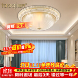 韬齐 欧式吸顶灯客厅现代简约主卧室灯美式阳台灯具 J2014-小号 直径30CM 配单色LED灯泡