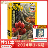2025年1-11月【主题微赶海/全年/半年订阅】博物杂志2025/2024年1-12期打包 中国国家地理青少年版中小学生自然科普百科全书 适合7-15岁 【上半年送四本 共10本】2024年1-6期