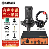 YAMAHA雅马哈UR12B配音有声书录音专业设备套装喜马拉雅小说声卡外置录音棚吉他编曲 UR12B+伯伦贝尔BL500电容麦套装