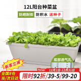 花沃里长方形花盆大号2个灰白/带1种子阳台种菜盆塑料花盆长条一体盆