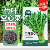 北蔬 空心菜种子苗小叶青梗雍菜通心菜蔬菜种籽 竹叶空心菜种子200粒
