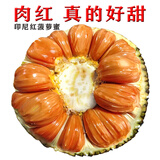 七果优品新鲜印尼红红肉菠萝蜜进口热带水果应季奶香脆甜红心木波罗一整个 红色 10-12斤印尼红【精选红肉】