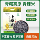 青藏部落青海特产 青稞米珍珠米五谷杂粮青稞仁甜醅原料2.5kg青海产地新米 【黑青稞米】 500g * 1袋