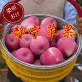 静宁苹果【顺丰包邮】正宗甘肃静宁红富士非冰糖心葫芦河时令新鲜水果整箱 80mm-90mm|大果净重13斤