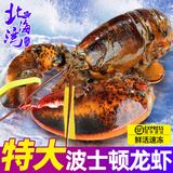 北海湾 波士顿龙虾 大龙虾鲜活熟冻澳洲龙虾海鲜水产波龙家庭年货送礼 【鲜活熟冻】净重400-500g*2只