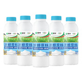 蒙牛风味酸牛奶450g原味 红枣酸奶 生牛乳 桶酸瓶装酸奶 原味8瓶（泡沫箱+冰袋）